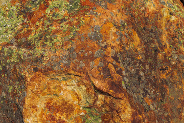 Plane of multicolored boulder. Beautiful rock surface close up. Colorful textured stone. Amazing detailed background of highlands boulder with mosses and lichens. Natural texture of mountain stone.