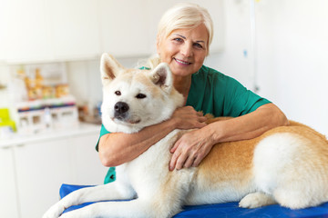 Female veterinarian examining a dog in her office