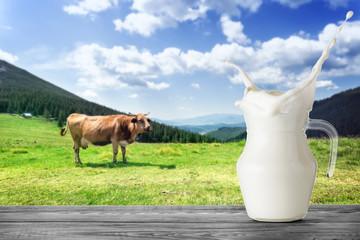 Jug of milk with splash on background of brown cow in mountains