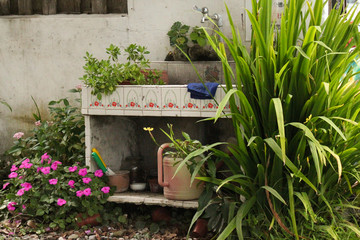 Garden sink and tools surrounded by plants and flowerd in Taichung province, Taiwan, China, Asia