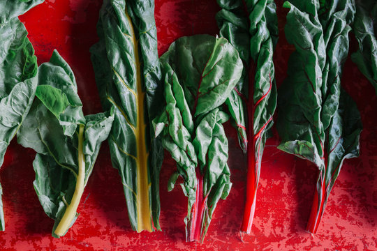 Row of vegetable leaves on red background, overhead view