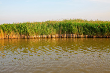 Hebei caofeidian golf course landscape