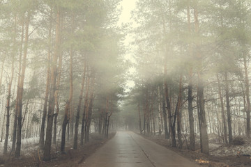 vintage picture of fog in the winter forest