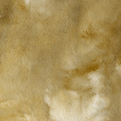 * Yellow watercolor and ink paper textures on white background. Chaotic stylish abstract organic design.