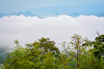 Obraz na płótnie Canvas Morning scene fog over misty landscape / Beautiful morning with fog on hill forest mist