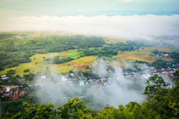 Top view village landscape mist / Beautiful morning with fog over misty on village