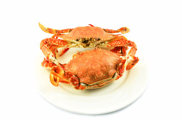 steam crab isolated on white background / cooked crab steamed seafood
