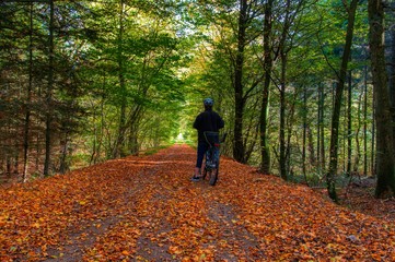 Obraz premium Biker on forrest trail