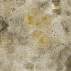 Yellow watercolor texture with abstract washes and brush strokes on the white paper background.