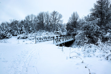 Bridge in Winter