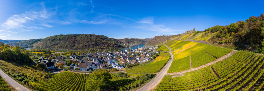 Germany, Rhineland-Palatinate, Mayen-Koblenz, Moselle, town Alken with Thurant Castle, vineyards
