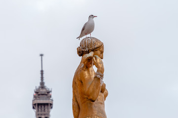 dove sitting on a statue on the background of the Eiffel Tower