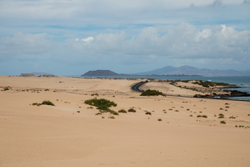 Fototapeta na wymiar White sand beach of Corralejo on the island of Fuerteventura