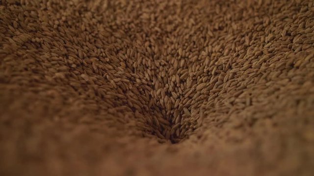 Brewing process cereal grains making beer slow motion