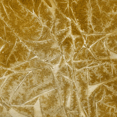 Yellow chaotic watercolor and ink paper textures on white background. Stylish abstract organic design.