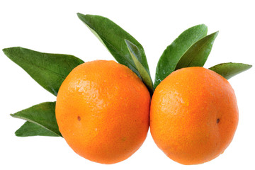 Two tangerine with leaves isolated