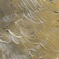 Gold acrylic paper textures on white background. Chaotic stylish abstract organic design.