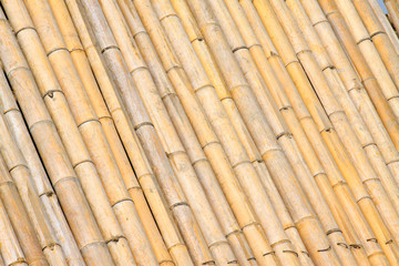 Bamboo split together