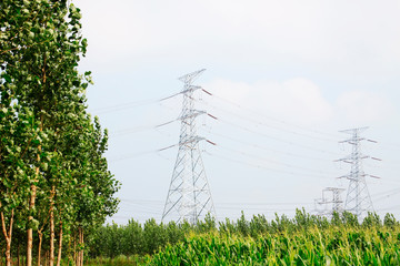 Obraz premium electric tower and crops