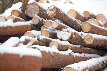 Pile of firewood under the snow in the winter