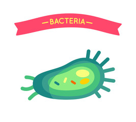 Bacteria Poster Cell Closeup Vector Illustration
