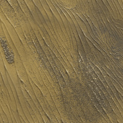 Gold acrylic paper textures on white background. Chaotic stylish abstract organic design.