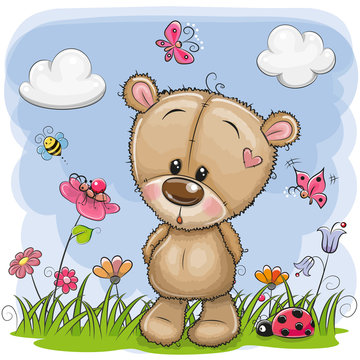 Cute Cartoon Teddy Bear on a meadow