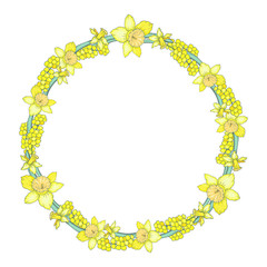 Vector floral Spring wreath with bright yellow narcissus and mimosa isolated on white background with space for text.