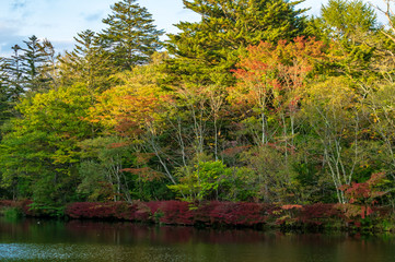紅葉の雲場池