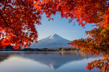 Mount Fuji, Autumn in Mt. Fuji, Japan - Lake Kawaguchiko , Colorful Autumn Season and Mountain Fuji with morning sunrise and red leaves at lake Kawaguchiko, Japan.