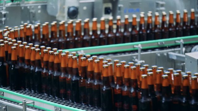 Filled bottles on a brewery conveyor, close up.