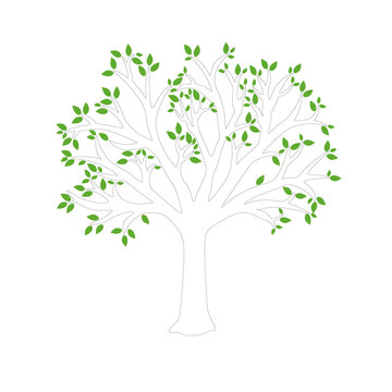  Vector Tree, green leaves