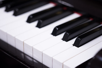 Side view of piano keys.