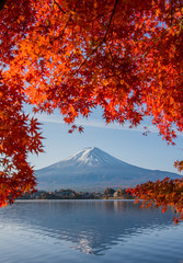 Mount Fuji, Autumn in Mt. Fuji, Japan - Lake Kawaguchiko , Colorful Autumn Season and Mountain Fuji with morning sunrise and red leaves at lake Kawaguchiko, Japan.
