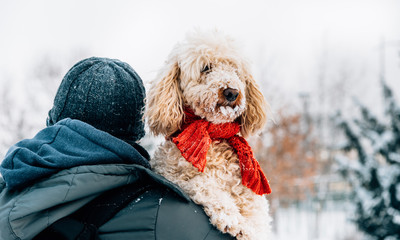 Happy pet and his owner having fun in the snow in winter holiday season. Winter holiday emotion....
