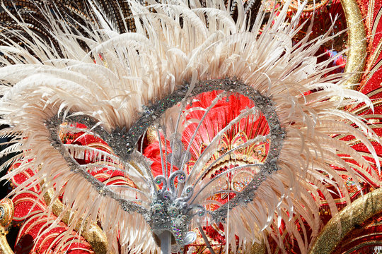 Carnival groups and costumed characters, parade through the streets of the city