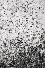 black and white texture of old boards. grunge