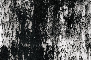 Obraz premium black and white texture of old boards. grunge