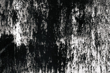 black and white texture of old boards. grunge
