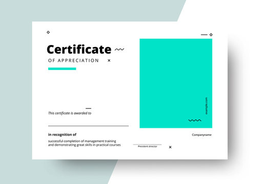 Certificate of appreciation template design. Elegant business diploma layout for training graduation or course completion. Vector background illustration.