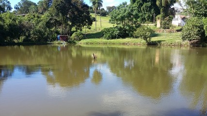 Fototapeta na wymiar lake in park