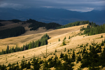 Obraz premium The sun illuminates the Carpathian mountain valley. Autumn in Carpathians mountain. Bright autumn. Location in western Ukraine, Carpathian Mountains