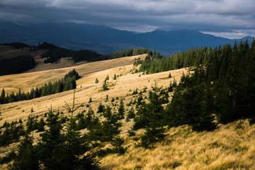 The sun illuminates the Carpathian mountain valley. Autumn in Carpathians mountain. Bright autumn. Location in western Ukraine, Carpathian Mountains