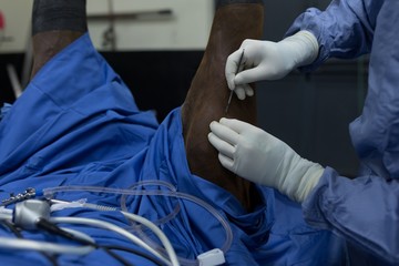 Female surgeon examining a horse in operation theatre