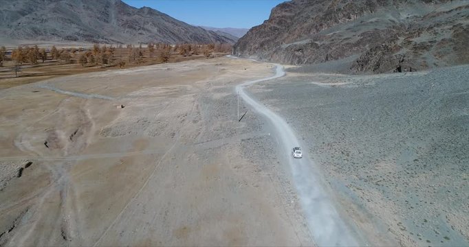 4k 60 fps Mongolia Aerial view of Altai desrt track with 4x4 driving - to pine tree small forest
