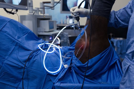 Female surgeon examining a horse in operation theatre - Powered by Adobe
