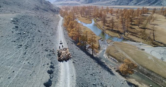 4k 60 fps Mongolia Aerial view of Altai track with 4x4 behind sheep herd - flying away for panorama