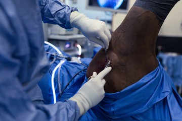 Female surgeon examining a horse in operation theatre
