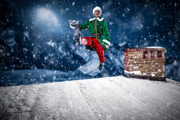 Christmas elf on roof and winter night 