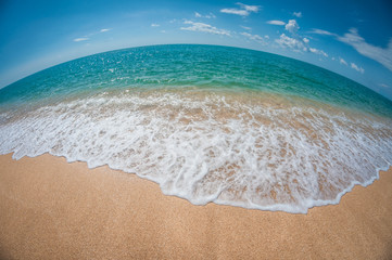 beautiful sandy beach in a sunny day, landscape, fisheye distortion